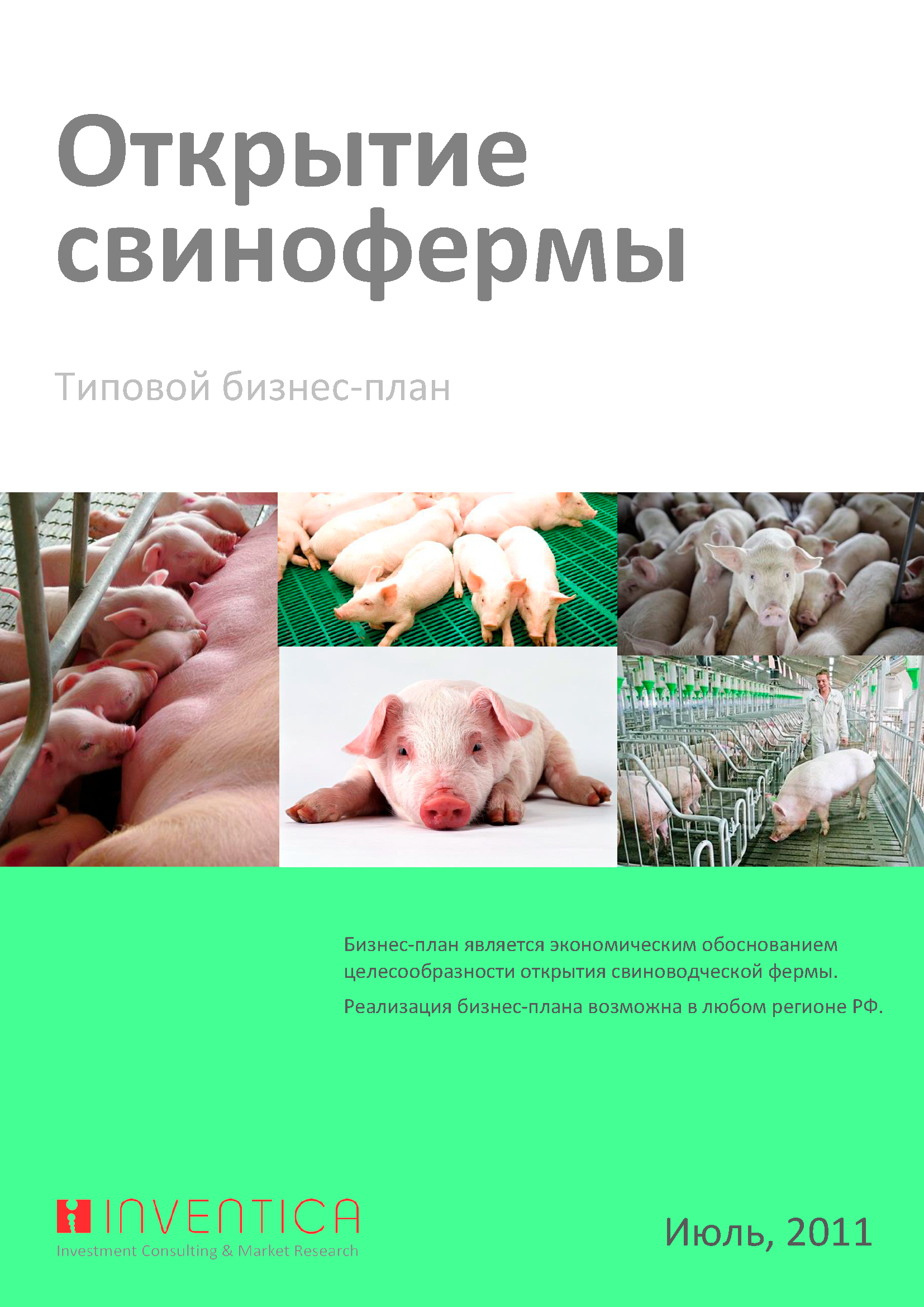 Бизнес план свинофермы (с финансовой моделью)